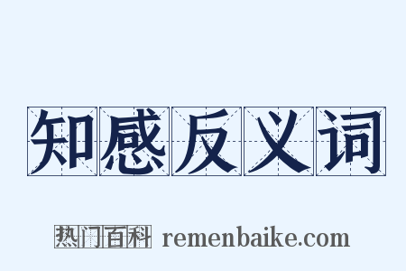 知感反义词是什么意思的图片